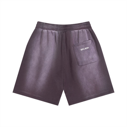 Sunfade Distressed Shorts